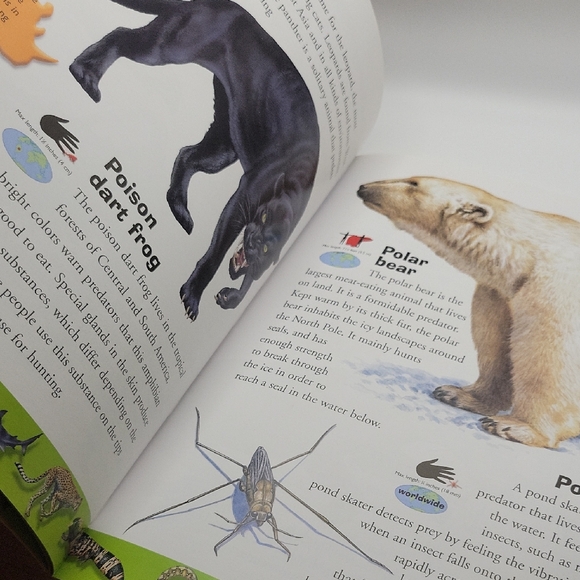 Deadly Creatures Dictionary - Picture 5 of 7